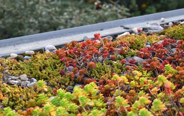the cost of Slitting Mill green roof installation