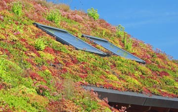 Slitting Mill living roof systems